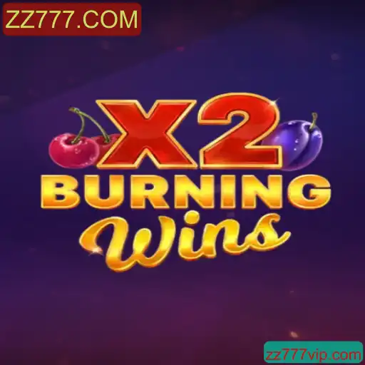 Descubra o Fascinante Mundo de BurningWinsX2